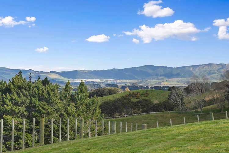 107 Waller Road Mauku_24