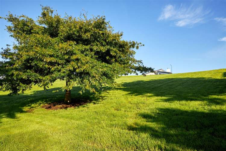 38 Greenburn Way Kaikoura_8