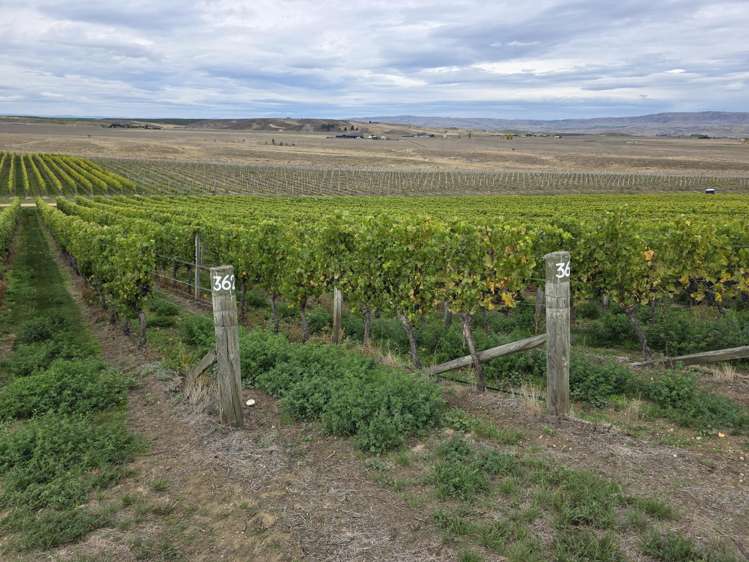 Lot 35 McArthur Road Alexandra_8