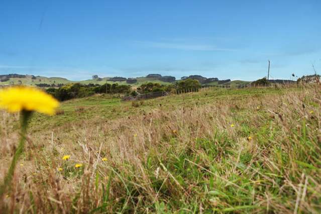 246a Kaipo Flats Road Onewhero_3