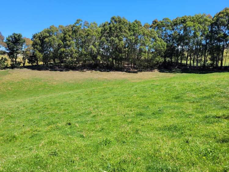 18 Jessop Street Oamaru_12