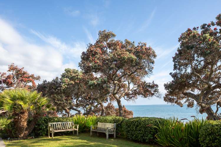 25 Park Avenue Takapuna_16