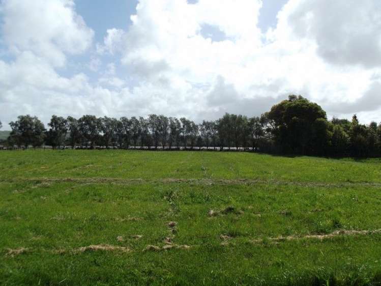 27 Burness Road Jervoistown_2