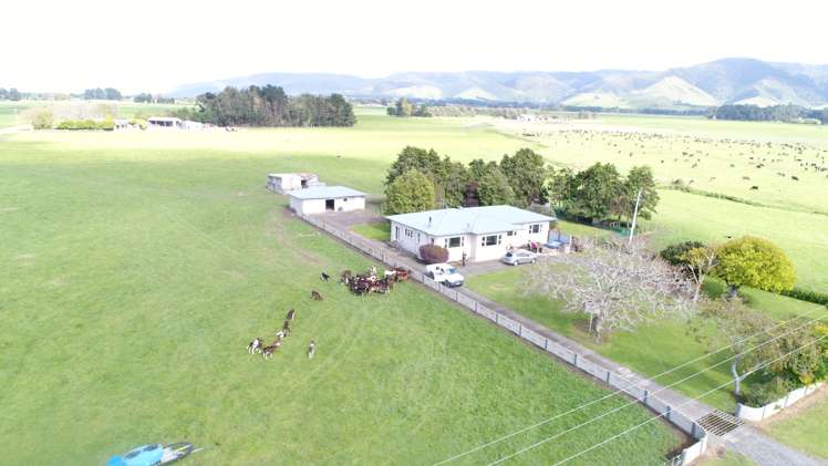 506 Kiritaki Road Dannevirke_11