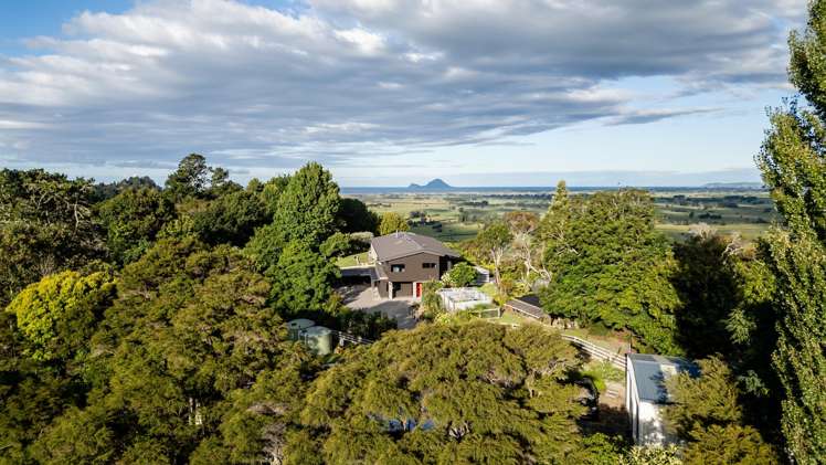 541 Manawahe Road Manawahe_28