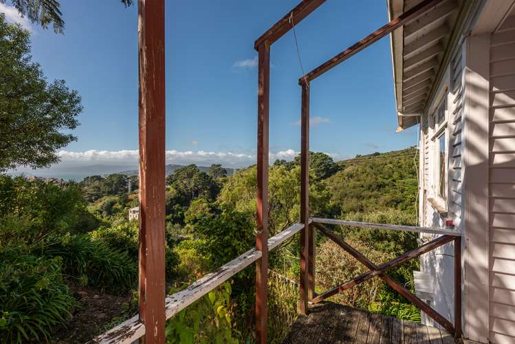 48 Mount Pleasant Road Aro Valley_25