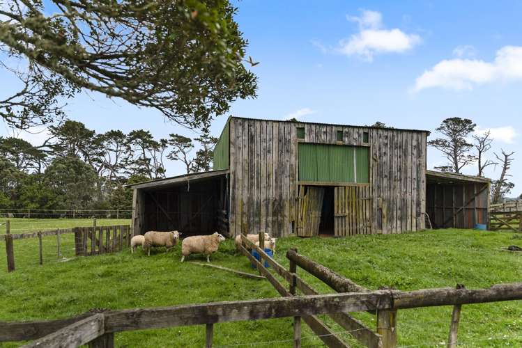 463D Wairamarama Onewhero Road Onewhero_15