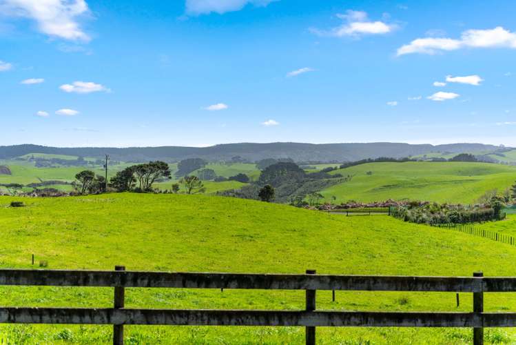 107 Fuller Road, South Head Helensville_43