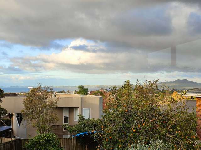 61A Forrest Hill Road Milford_3