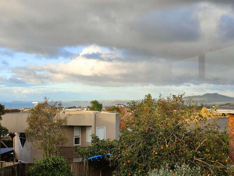 61A Forrest Hill Road Milford_3