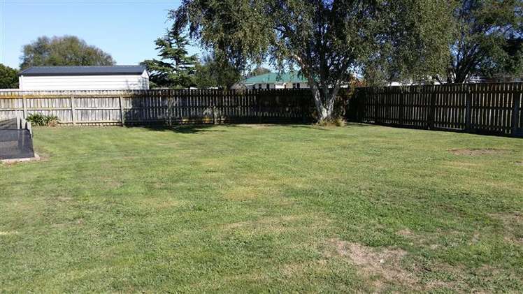 11 Ventura Grove Bulls_6