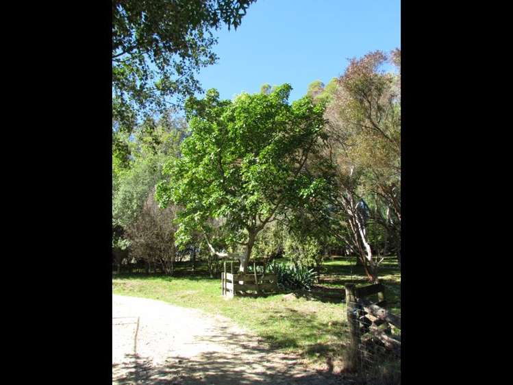 41 Lees Pakaraka Road Masterton_15