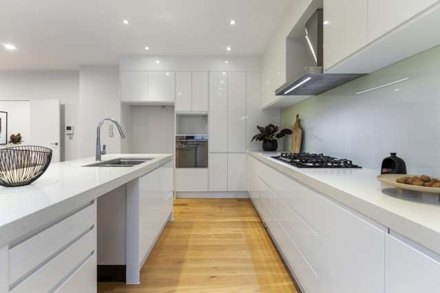 148A Nile Road Milford_3