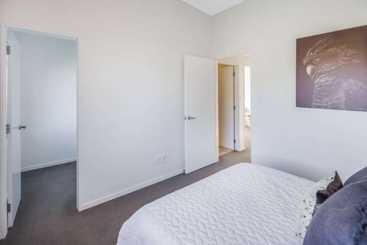 9/2 Chelmsford Street Ngaio_9