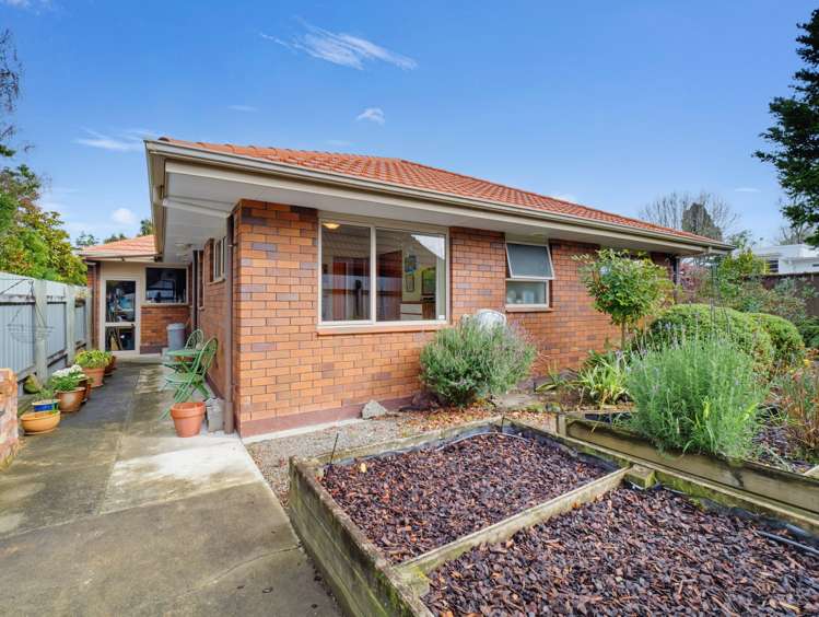 219 Victoria Ave Hokowhitu_17