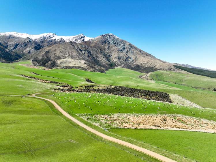 2211 Blackmount Redcliff Road Whare Creek_10