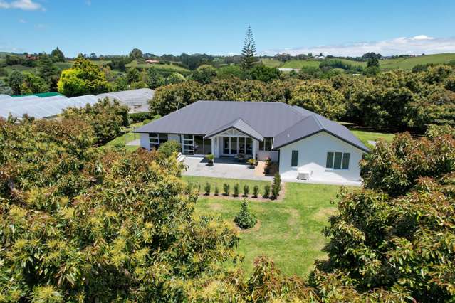 383 Old Highway Whakamarama_2