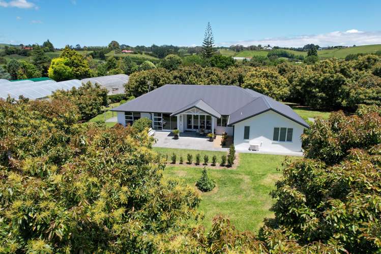 383 Old Highway Whakamarama_2