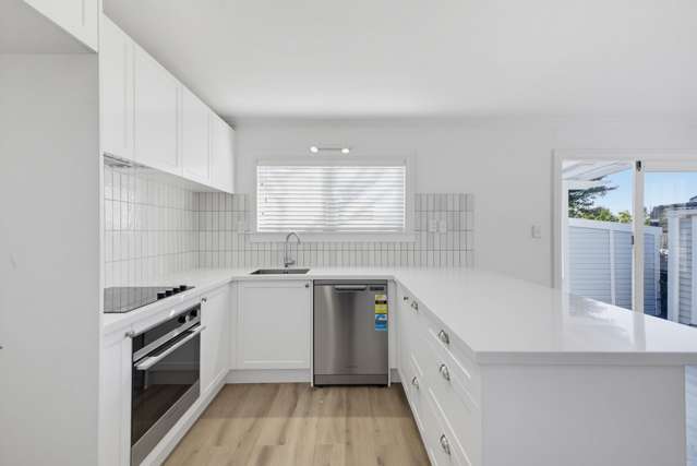131 Lemon Street New Plymouth_3