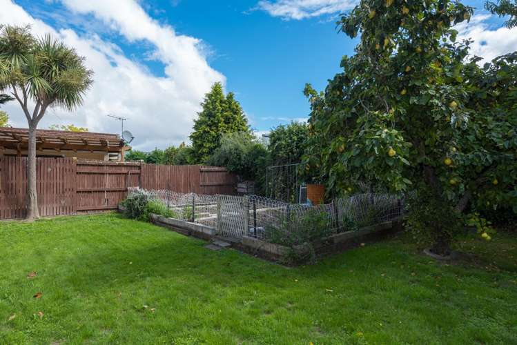 12 Martin Terrace Witherlea_14