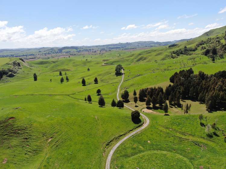 Kahuwera Road Piopio_19