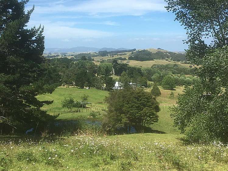 843 Whakapirau Road Whakapirau_23