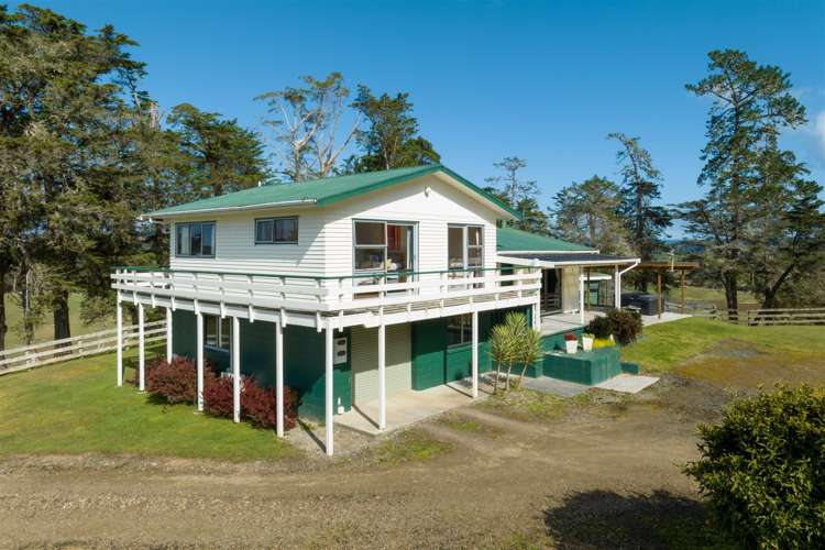 1 Domain Road Kawakawa_5