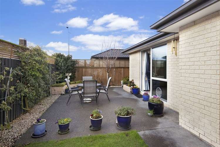 229b Main North Road Redwood_10