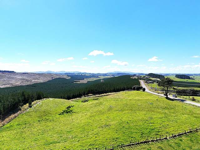 320A Babylon Coast Road Dargaville_3