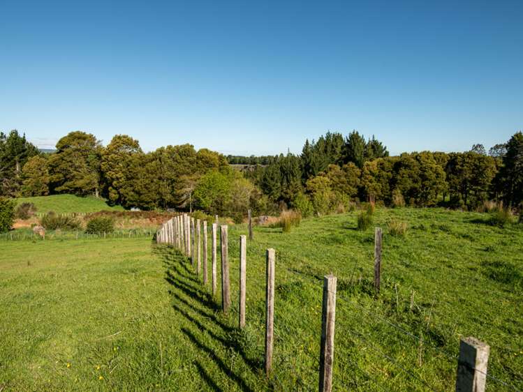 Ruatiti Road Raetihi_14