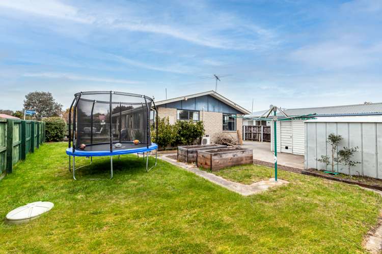 2 Cowper Place Avondale_12