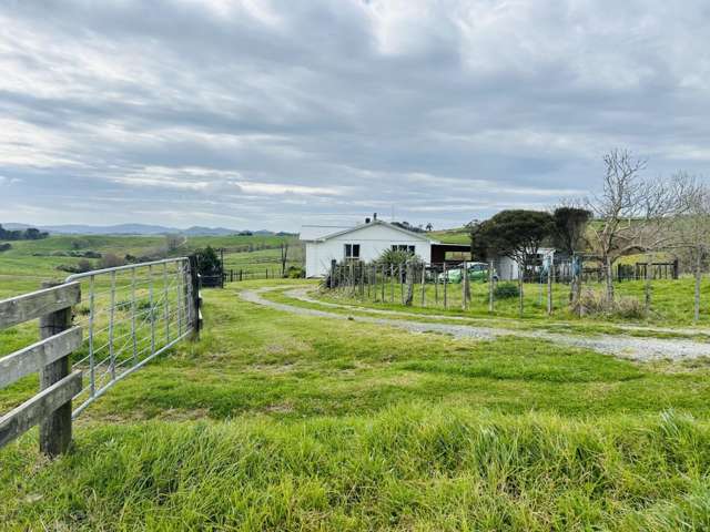 896c Whakapirau Road Whakapirau_3