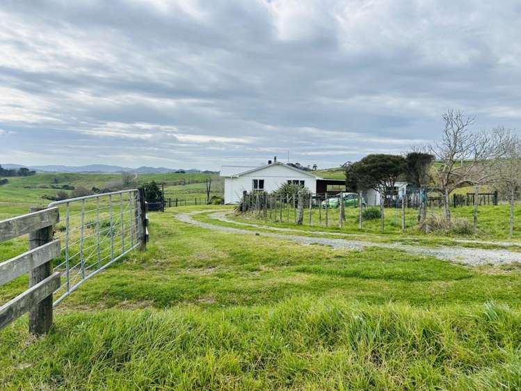 896c Whakapirau Road Whakapirau_3