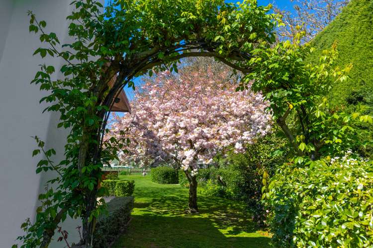 33 Bary Street Springlands_25