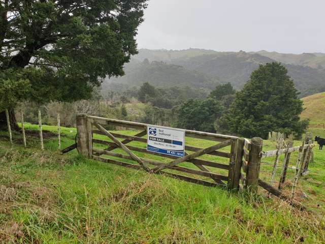 Lot 1/0n Bull Road Paparoa_1