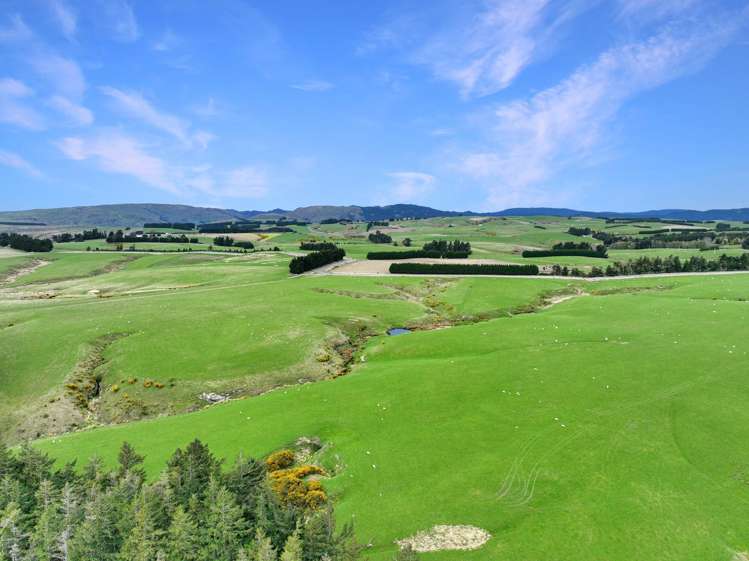 267 (Farm) Wehenga Road Hindon_5