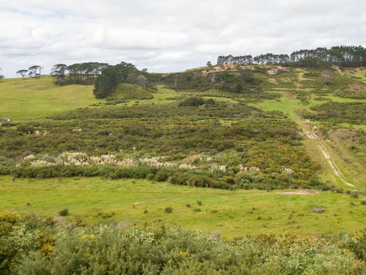 455 Mt Wesley Coast Road Dargaville_14