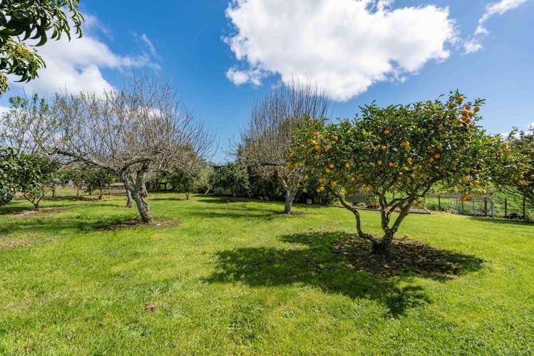 158 Horotiu Road Horotiu_7