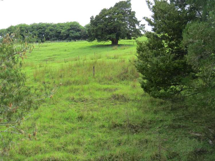 Lot 4 Taylor Road Taipa_11