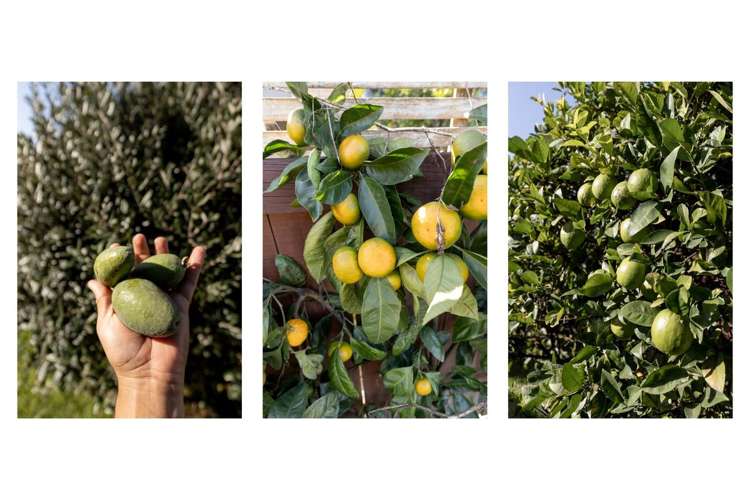 14 Ohuirehe Road Coastlands_15