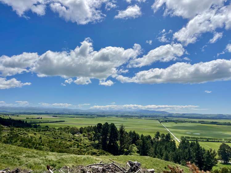 Lot 1 Gaudion Road, Peebles Oamaru_12