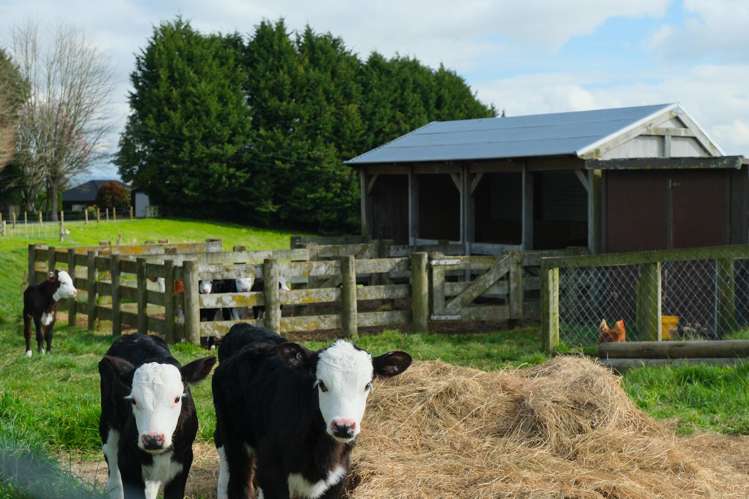 340 Deep Creek Road Reporoa_23