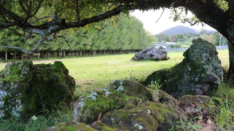 Brenda Gardner Way Maunu_7