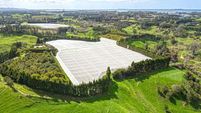 Exceptional lifestyle and income block