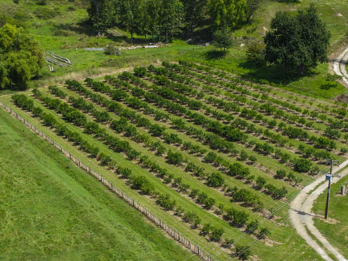 55 Harrington Road_1