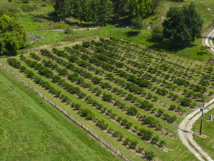 55 Harrington Road Muriwai_5