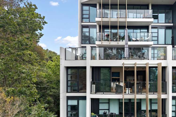 305/8 Kingsland Terrace Kingsland_19