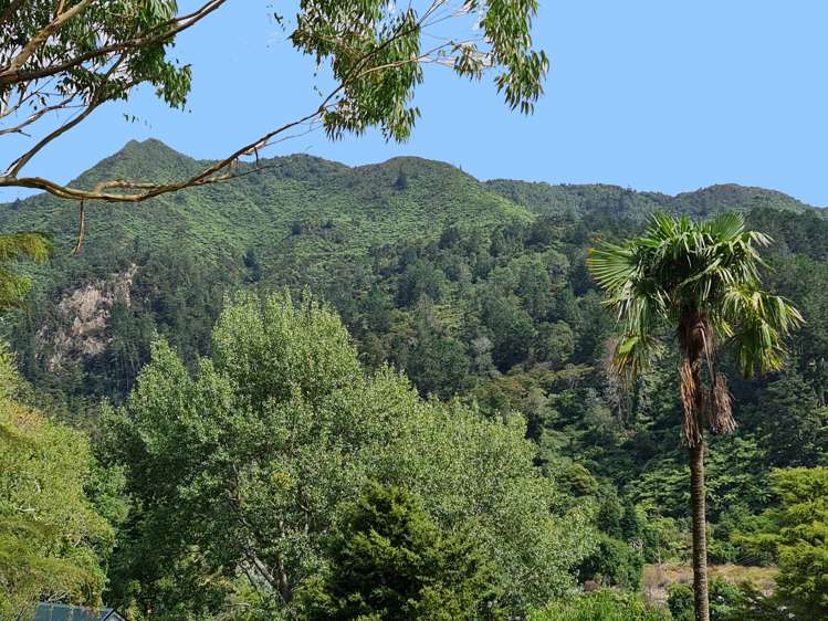 23a Moresby Street Karangahake_5