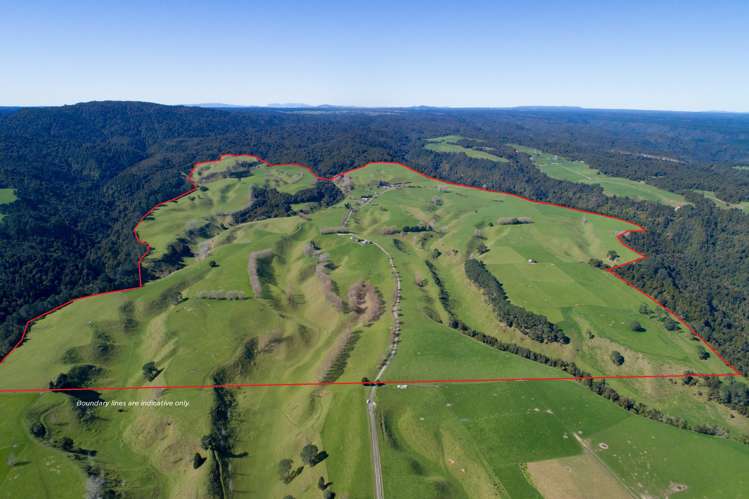 628 Pakaraka Road Kaimai Mamaku Conservation Park_0