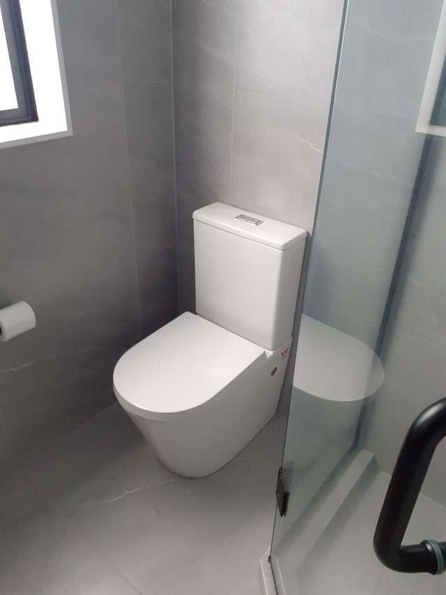 45 Drumnaconagher Road Flat Bush_4